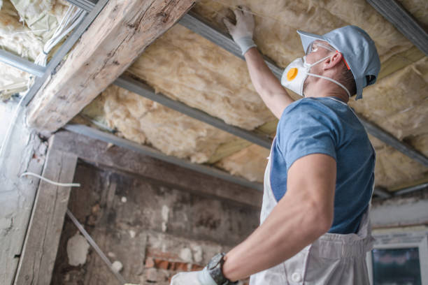 Best Insulation for Specific Applications in Clarksville, IA